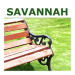 savannah experiences android application logo